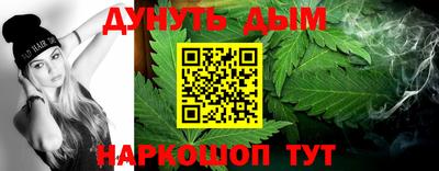 индика Ставрополь