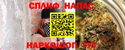 индика Ставрополь