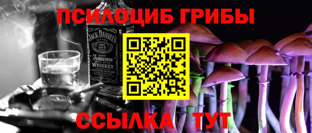 Галлюциногенные грибы Psilocybine cubensis Мурино