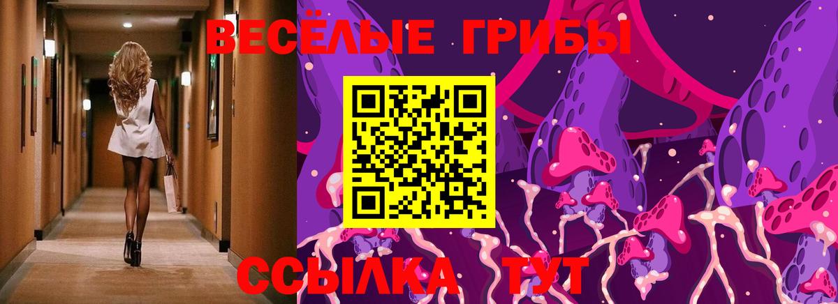 Псилоцибиновые грибы Psilocybe  Вход с VPN  Мурино 